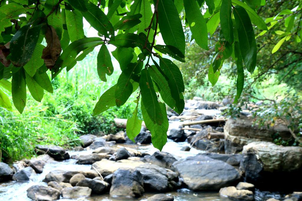 Nivahana Homestay Kandy Exterior foto